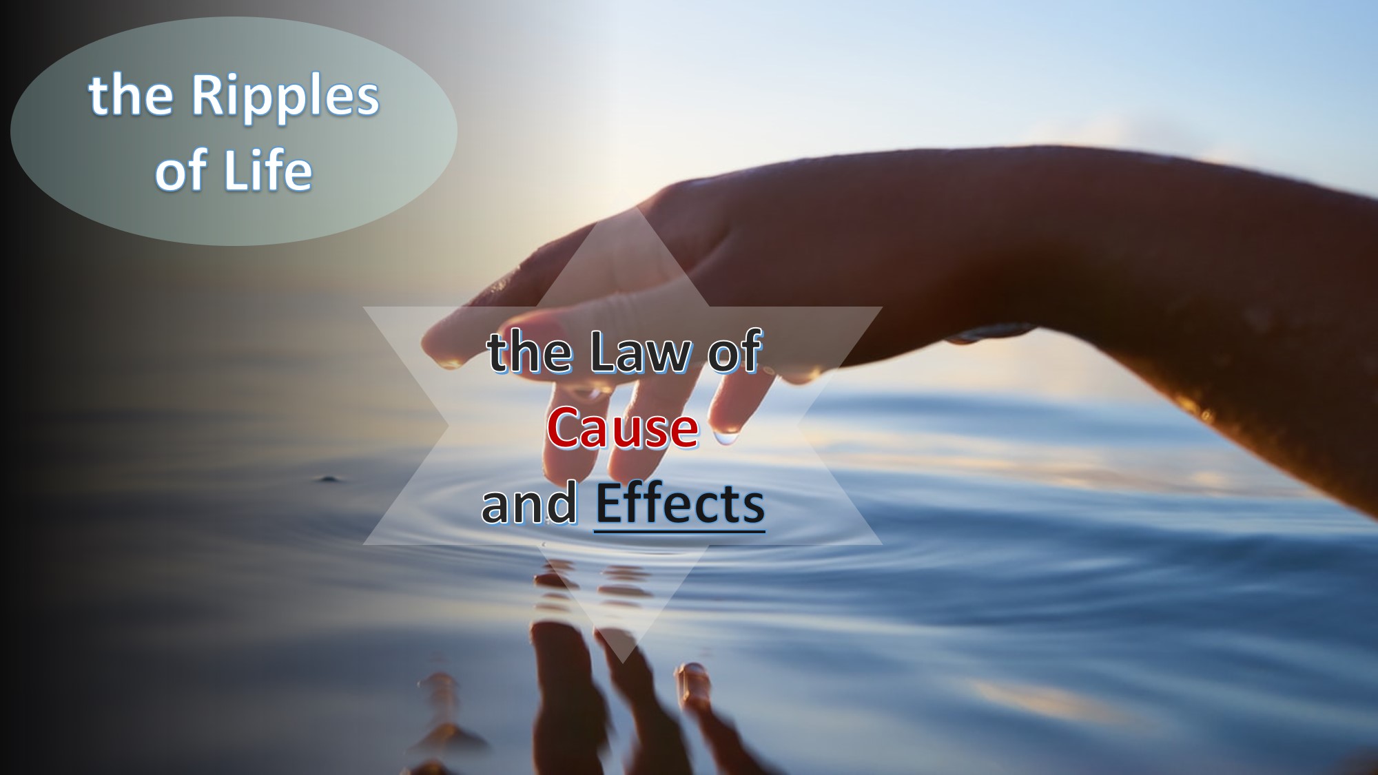 Concept The Law Of Cause And Effect – Nourishing The Life Map By Joyce Tai